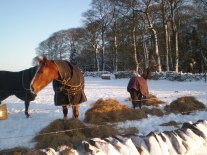 Winter snow in the Peak District